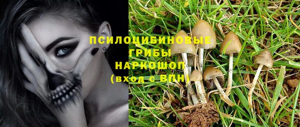бошки Михайловка