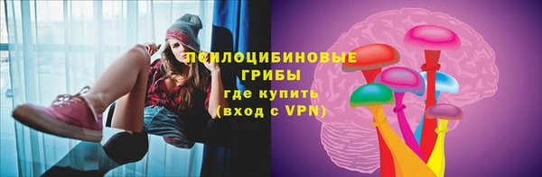 индика Михайлов