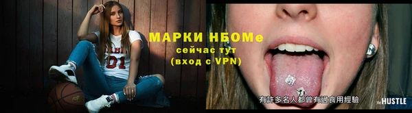 хмурый Михайловск