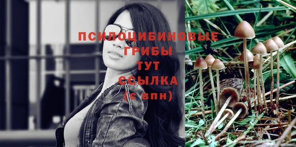 индика Михайлов